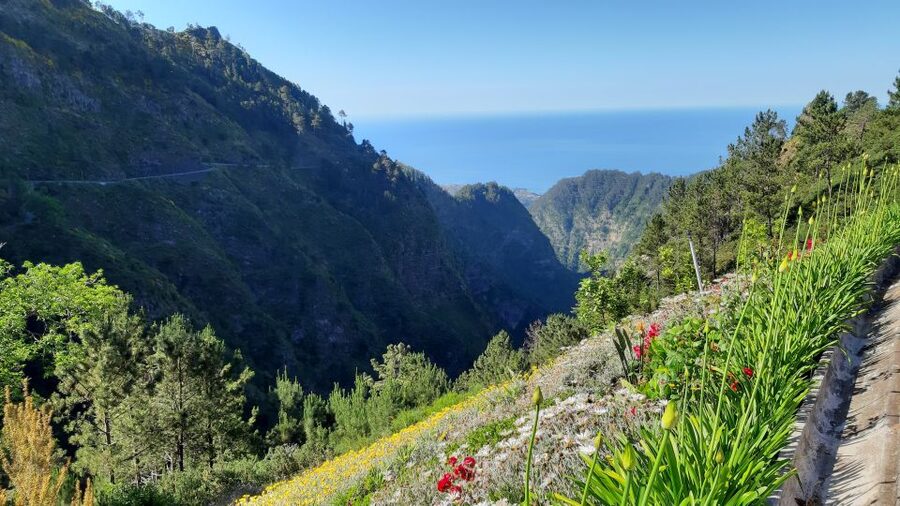 Madeira: Nun's Valley Private Tour - Ribeira dos Socorrido and the “in-between” stops that matter