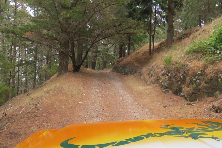 Madeira : Nun's Valleys and Pico Areeiro 4X4 Tour - Price and value: what $49 gets you in Madeira
