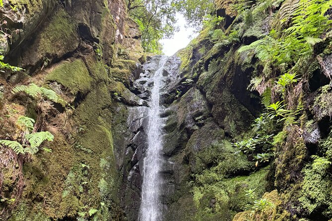 Madeira Off-Road 4x4 Jeep Adventure Private Full day Tour - Start in Funchal: Pickup Timing and How to Set Yourself Up