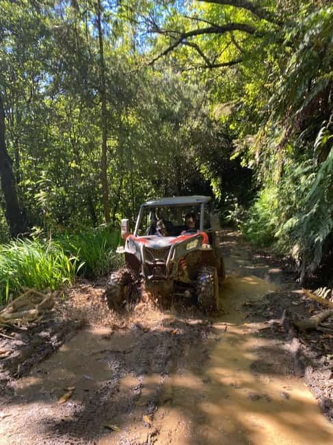 Madeira: Off-Road Buggy Driving Experience - Why the Laurisilva Ride Feels Different Than Normal Madeira Tours