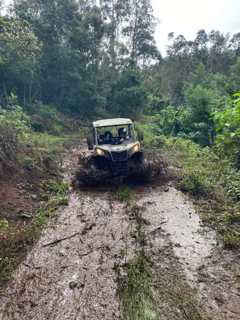 Madeira: Off-Road Buggy Driving Experience - FAQ