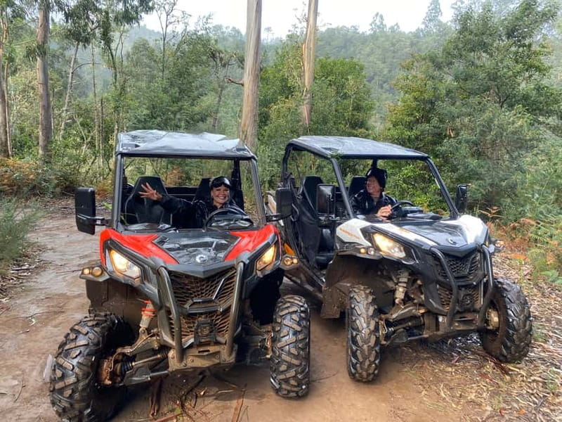 Madeira: Off-Road Buggy Driving Experience - Price and Value, Why $171 for Up to Two Can Be a Good Deal