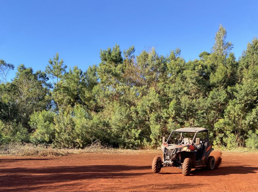 Madeira: Off-Road Buggy Driving Experience - Who This Off-Road Buggy Tour Is Best For (and Who Should Skip It)