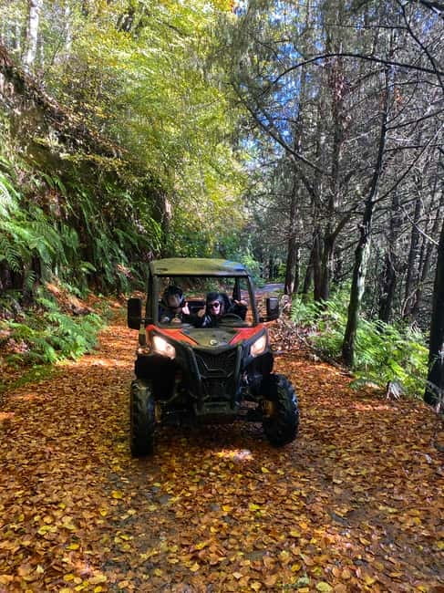 Madeira: Off-Road Buggy Driving Experience - Should You Book This Madeira Buggy Driving Experience?