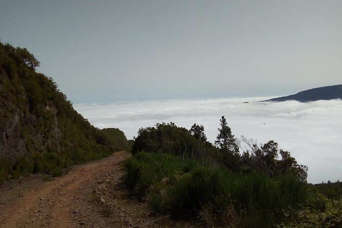 Madeira Off-Road Tours - Farms, vineyards, and the Valley of the Nuns viewpoint from Câmara de Lobos