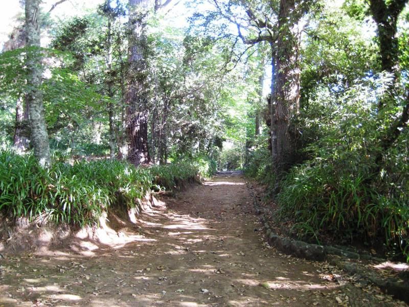 Madeira: Paradise Valley Levada Walk - Who this Madeira walk suits best