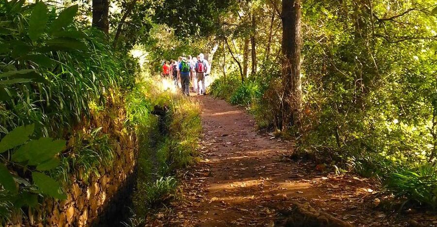 Madeira: Paradise Valley Levada Walk - The cooler air factor: what to pack for comfort