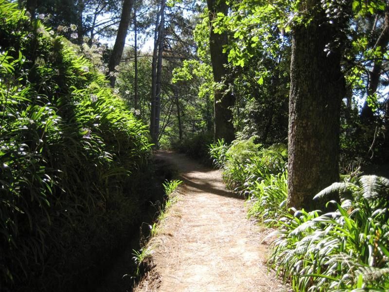 Madeira: Paradise Valley Levada Walk - Vale do Paraíso to Rochão: the 4-hour route breakdown