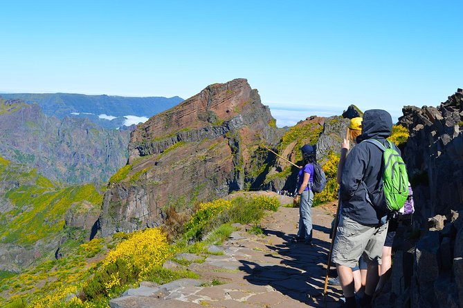 Madeira Peaks - Mountain Walk - Stop 3: Vereda do Pico Ruivo, the heather forest that feels ancient