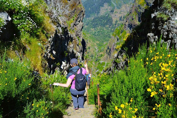 Madeira Peaks - Mountain Walk - Weather and the microclimate reality on Madeira Peaks