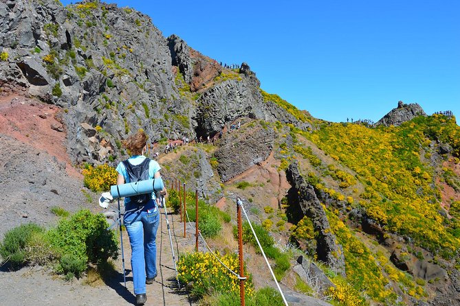 Madeira Peaks - Mountain Walk - Food, water, and the mandatory picnic rule