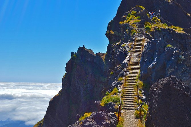 Madeira Peaks - Mountain Walk - The day’s flow: pickup from Funchal to peak-to-peak hiking