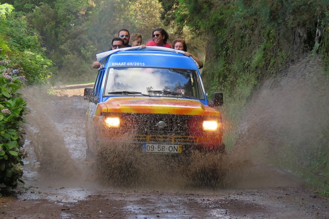 Madeira Peaks - Open 4X4 Full-Day Tour - Off-Road Reality: Bumpy Roads, Narrow Turns, and How to Handle It