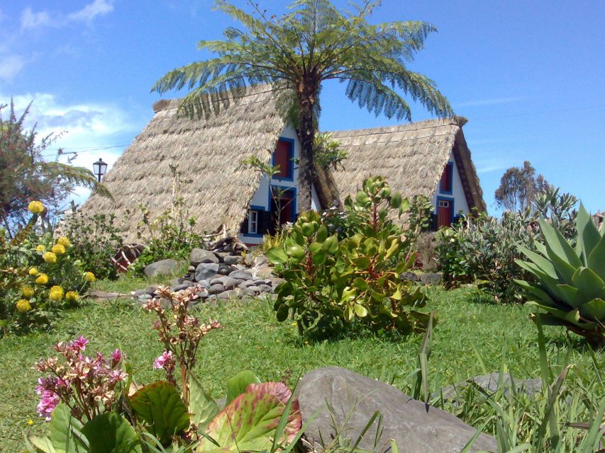 Madeira: Pico do Arieiro & Laurissilva Forest - East tour - Key things that make this tour worth your time