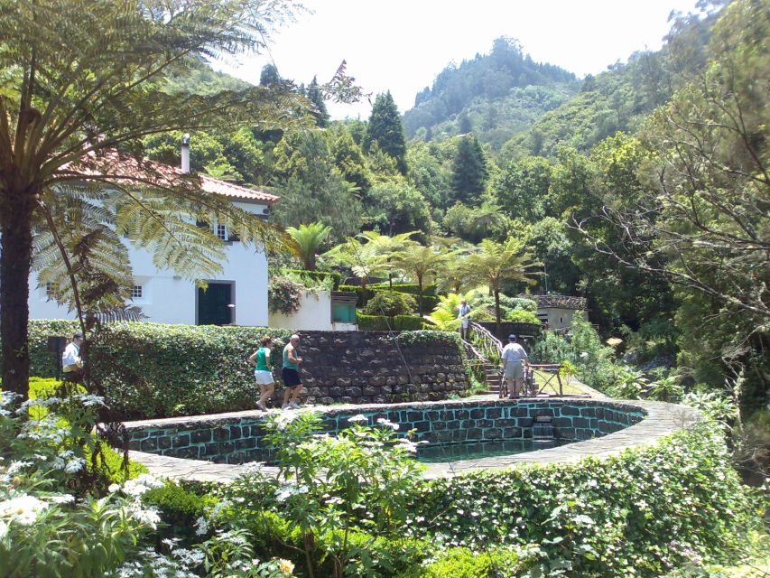 Madeira: Pico do Arieiro & Laurissilva Forest - East tour - What to bring and how to handle the “full day” feeling