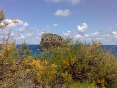 Pico do Arieiro & Laurissilva Forest – East tour