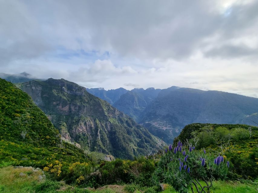 Madeira: Picturesque Peaks and Skywalk private 4x4 Jeep tour - Off-road to Jardim da Serra: eucalyptus, poncha, and island flavors
