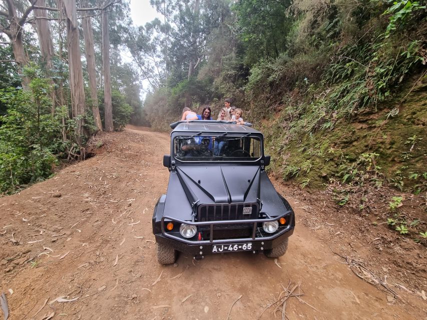 Madeira: Picturesque Peaks and Skywalk private 4x4 Jeep tour - Price and value: $247 per group up to 4, plus one extra fee