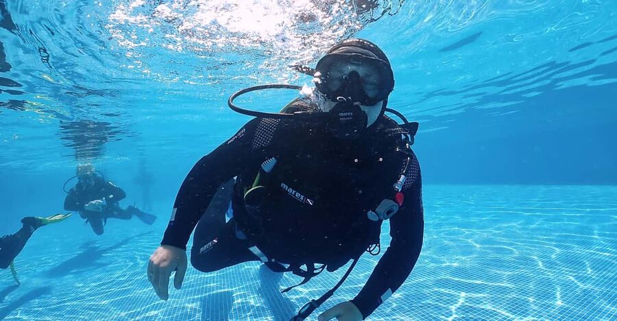 Madeira, Ponta São Lourenço: Scuba Diving for Beginners - What you’ll see: fish, octopus, rays, and more