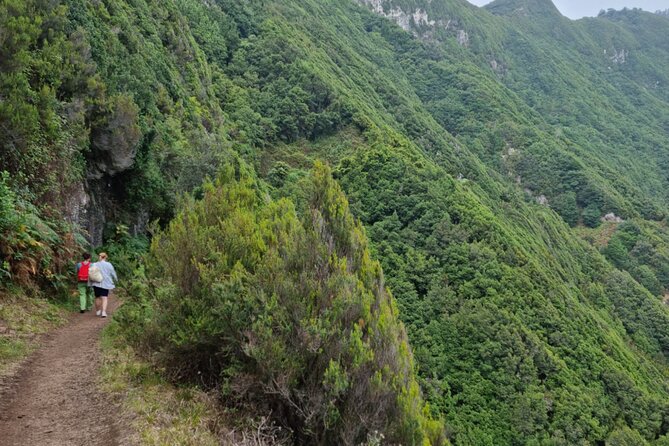 Madeira Porto da Cruz to Machico Self Hiking Tour with Transfer - Transfers and timing: the value of being handled door-to-trail