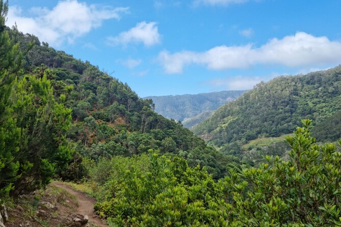 Madeira Porto da Cruz to Machico Self Hiking Tour with Transfer - Who this Porto da Cruz to Machico hike suits best