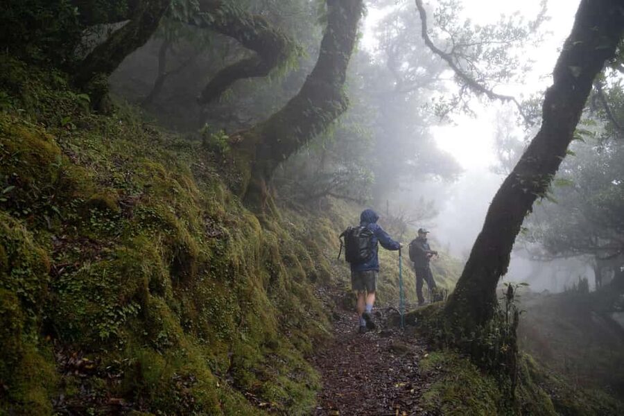 Madeira: PR 9 - Levada do Caldeirão Verde Hike Transfer - Key things you should know before you go