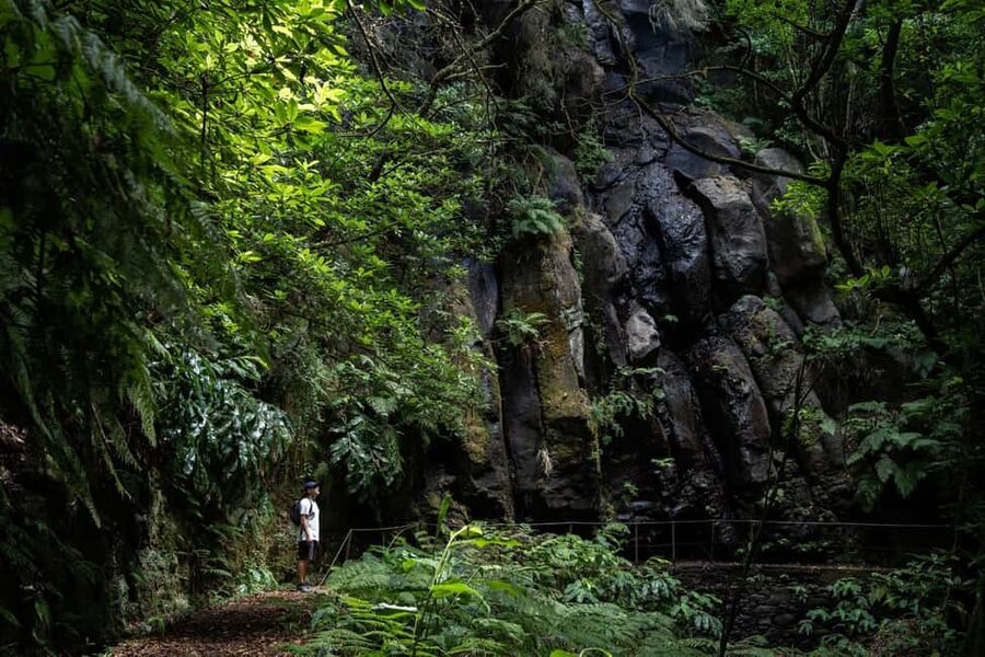 Madeira: PR 9 - Levada do Caldeirão Verde Hike Transfer - Pico das Pedras: the start point, the warm-up walk, and ticket timing