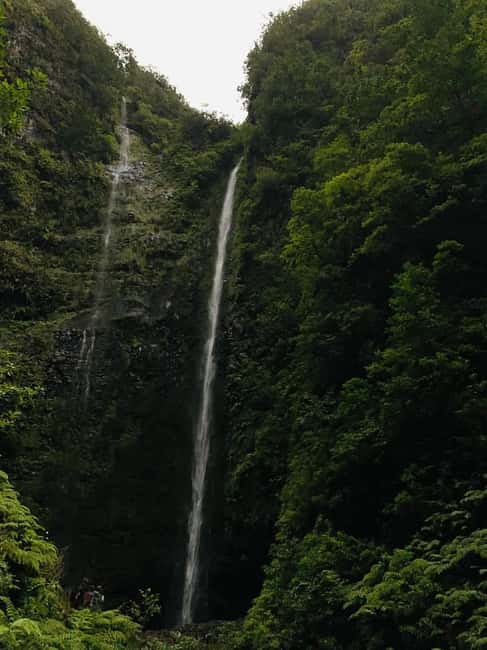 Madeira: PR 9 - Levada do Caldeirão Verde Hike Transfer - Return walk and transfer: timing that keeps your day from feeling rushed