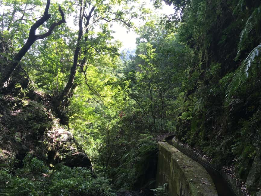 Madeira: PR 9 - Levada do Caldeirão Verde Hike Transfer - Who this PR9 hike transfer is best for, and who should skip it