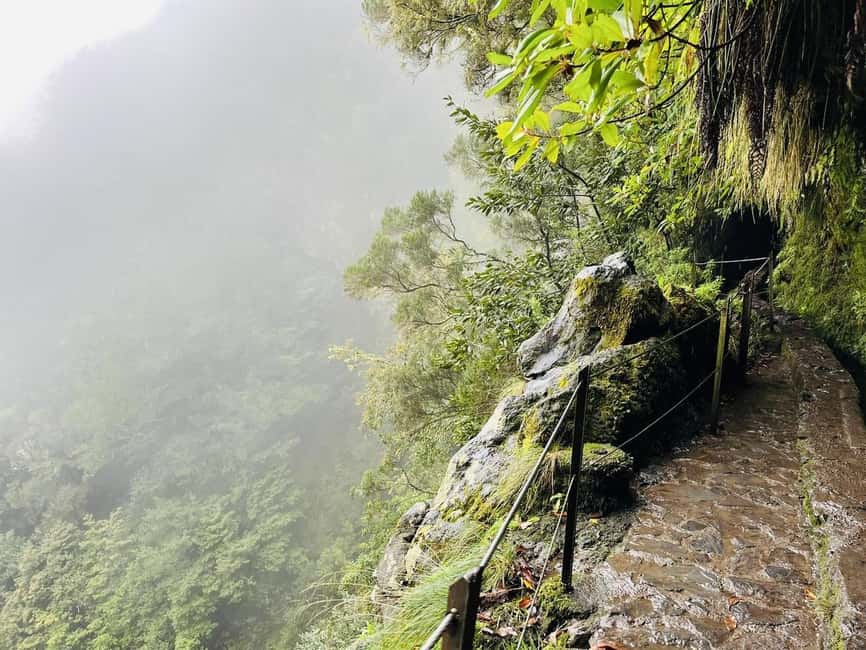 Madeira: PR 9 - Levada do Caldeirão Verde Hike Transfer - Pickup and transfer from Funchal, Caniço, and Garajau, done the easy way