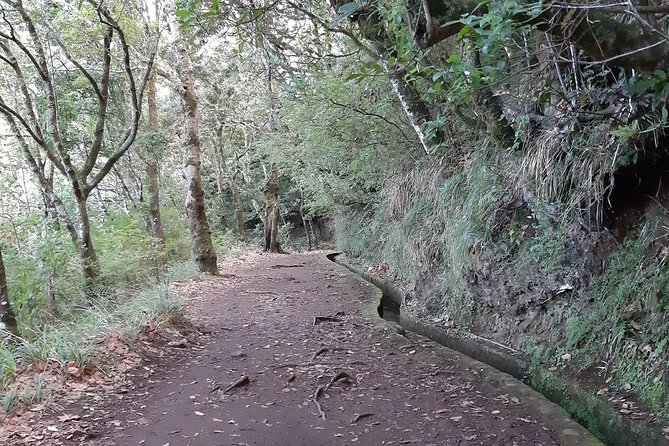 Madeira: Private 1.5-Kilometer Levada dos Balcões Hike PR11 - Why PR11 Balcões Is a Great First Levada Walk
