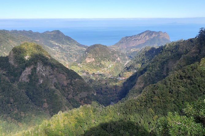 Madeira: Private 1.5-Kilometer Levada dos Balcões Hike PR11 - Laurel Forest and Birdlife: How to Read the Green World