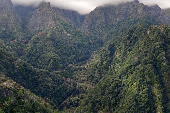 Madeira: Private 1.5-Kilometer Levada dos Balcões Hike PR11 - Private Guide Perks, From Levadas Explained to Photo Timing