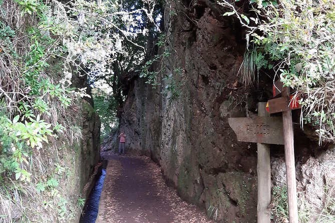 Madeira: Private 1.5-Kilometer Levada dos Balcões Hike PR11 - Price and Value in Real Terms