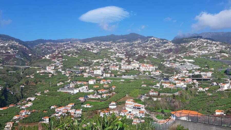 Madeira: Private Banana Farm Tour with Pickup - The farm visit: seeing bananas through their life-cycle
