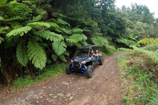Madeira Private Buggy Adventure: Forest and Mountains - The Polaris RZR XP 1000 on Madeira: built for real traction, not showroom roads