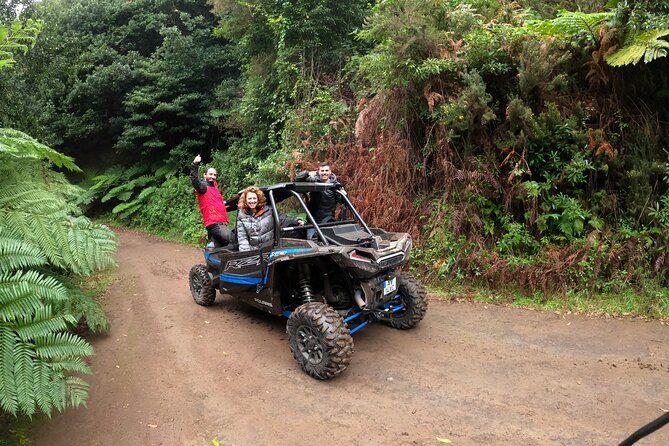 Madeira Private Buggy Adventure: Forest and Mountains - GoPro photos and videos included: your phone can stay in your pocket