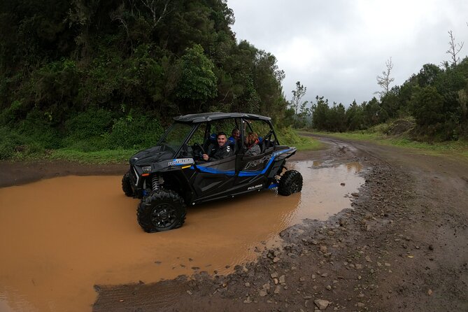 Madeira Private Buggy Adventure: Forest and Mountains - Mud, rain, and ponchos: how to dress for the ride