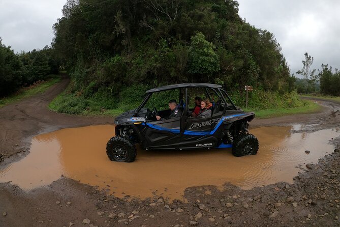 Madeira Private Buggy Adventure: Forest and Mountains - Meeting point and timing in Funchal: start easy, end where you began