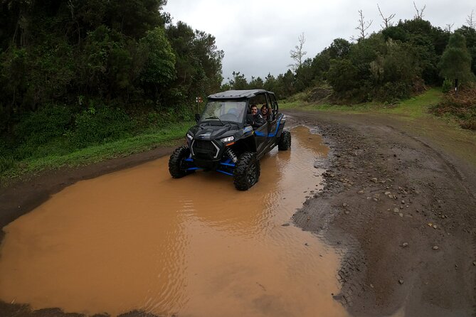Madeira Private Buggy Adventure: Forest and Mountains - Value check: why $111.02 per person can make sense here