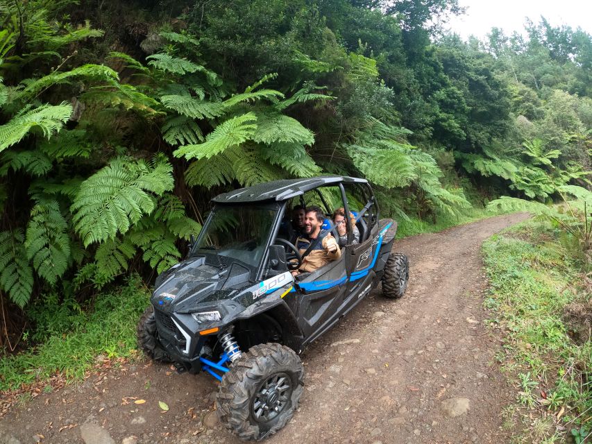 Madeira Private Buggy Adventure: Mountains and Forests - Key Things You’ll Notice on This Buggy + Forest Ride