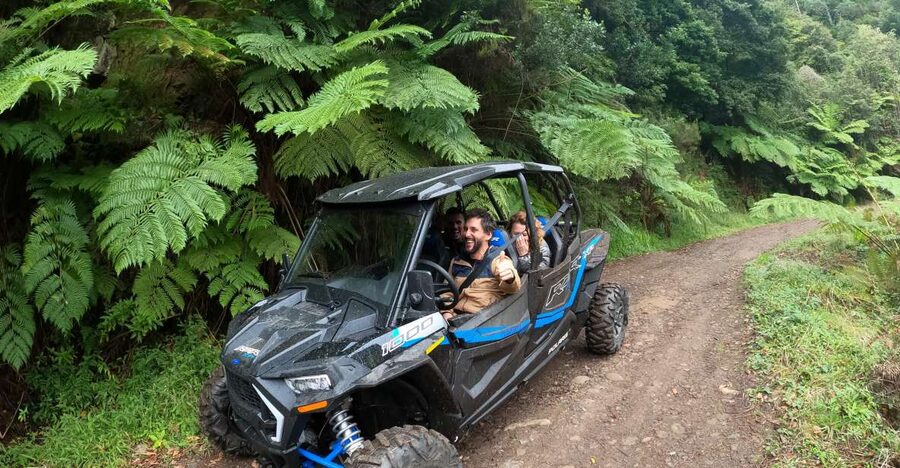 Madeira Private Buggy Adventure: Mountains and Forests - What’s Included (and the Smart Extras You’ll Actually Use)