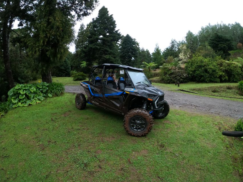 Madeira Private Buggy Adventure: Mountains and Forests - Why Madeira’s Laurissilva Forest Fits This Polaris RZR Adventure