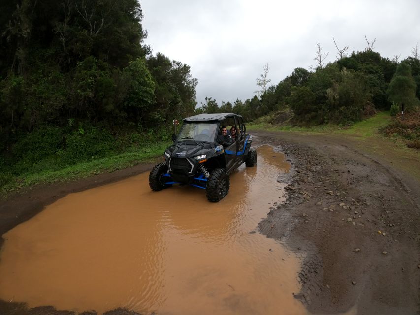 Madeira Private Buggy Adventure: Mountains and Forests - Stop by Stop: Pico Alto, Poiso, Pico do Suna, and Lamaceiros Lagoon