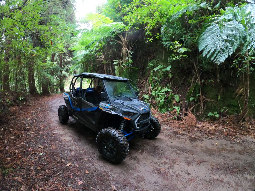 Madeira Private Buggy Adventure: Mountains and Forests - Portela Viewpoint, Porto da Cruz and Faial, and the Rock of Penha d’Águia