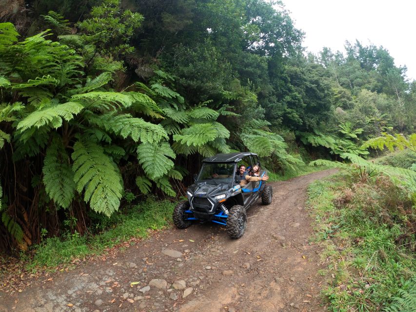 Madeira Private Buggy Adventure: Mountains and Forests - Serra das Funduras Forest Road and the Laurissilva World