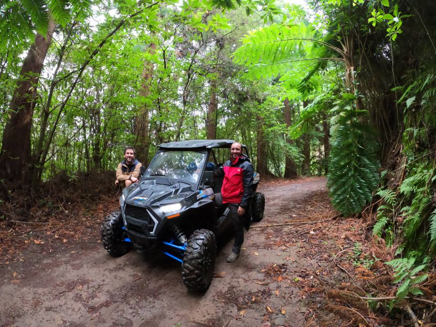Madeira Private Buggy Adventure: Mountains and Forests - Polaris RZR XP4: What Driving Really Means Here