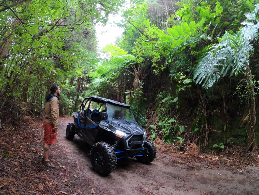 Madeira Private Buggy Adventure: Mountains and Forests - Guide Control, Safety, and the Way Flexible Stops Help