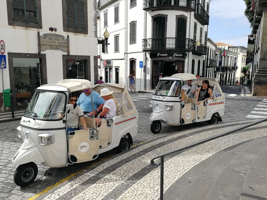 Madeira: Private Funchal City Tour in a Tukxi - Ending With Madeira Gardens, Municipal Garden and Santa Catarina Park