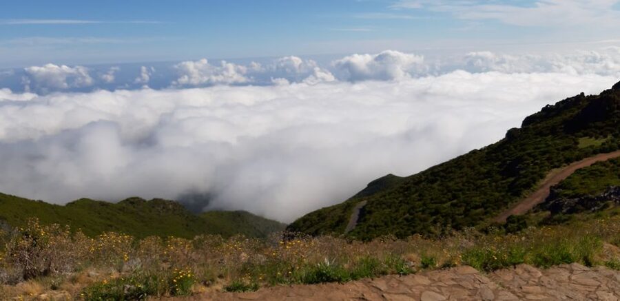 Madeira: Private Guided Achadas Teixeira - Pico Ruivo PR1.1 - Key things to know before you go